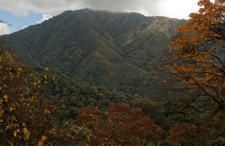 Eaglenest Wildlife Sanctuary